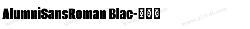 AlumniSansRoman Blac字体转换